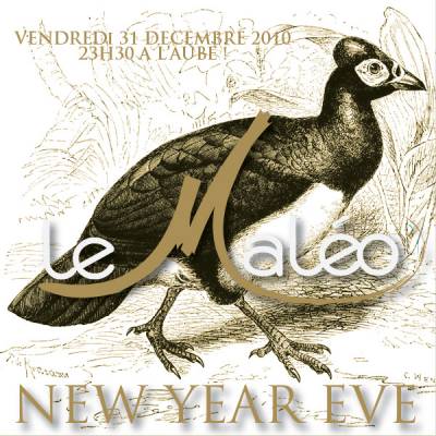 31 decembre au Maleo