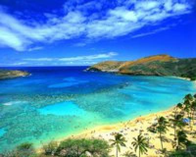 Soirée Hawai