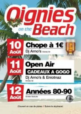 OIGNIES plein air 10 – 11 – 12 aout