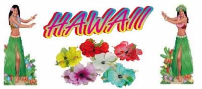 k’liente – Hawaii