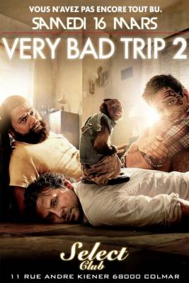 Very Bad Trip 2
