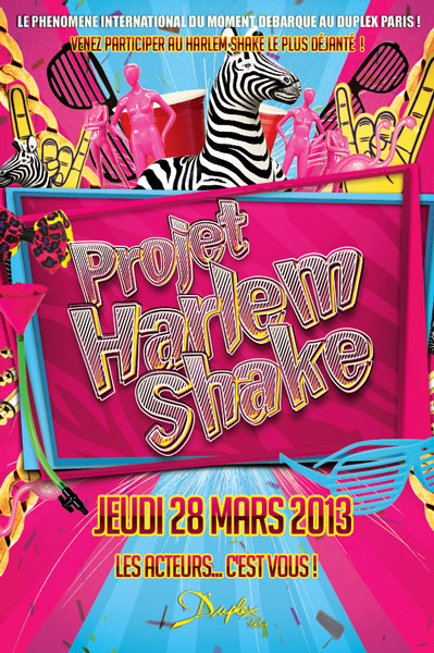 PROJET HARLEM SHAKE
