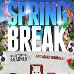 LE CHAT NOIR – SOIREE SPRINGBREAK