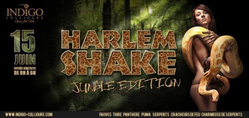 JUNGLE PARTY