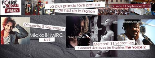 foire de sedan 2013