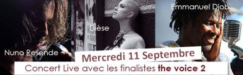 foire de sedan 2013 THE VOICE TOUR