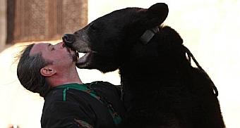 Spectacle d’ours