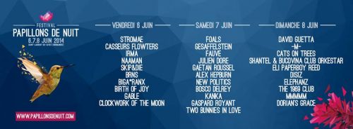 Festival Papillons de nuit:  Foals / GESAFFELSTEIN / FAUVE / Julien Doré…