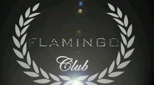 Le flamingo