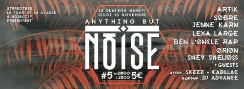 Anything But Noise #5