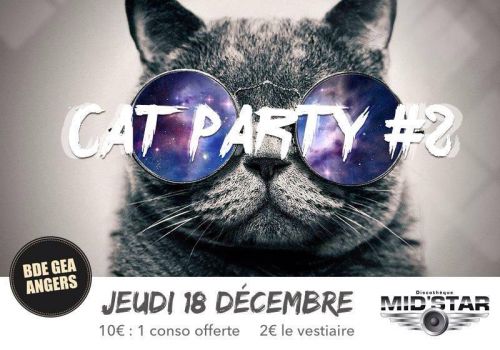 CAT PARTY #2