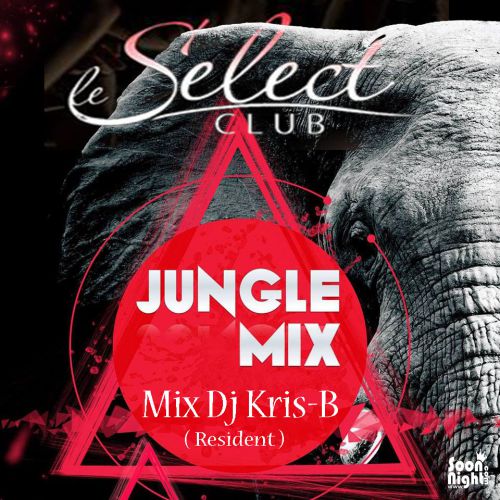 ✦✦✦ SOIRÉE JUNGLE MIX ✦✦✦