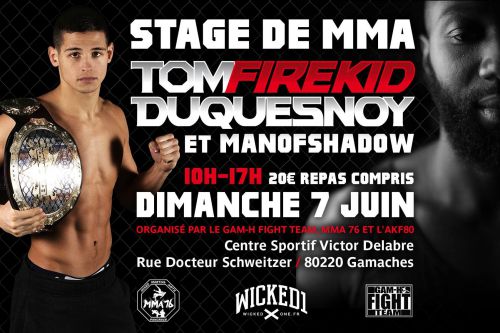 Stage de MMA