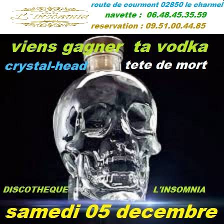 Crystal Head Party