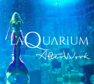 AFTERWORK DANS (TOUT) L’AQUARIUM DE PARIS !