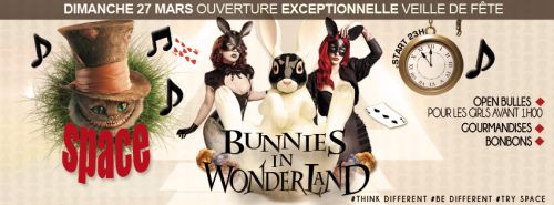 Bunnies In Wonderland