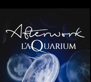 Afterwork dans tout l’Aquarium de Paris