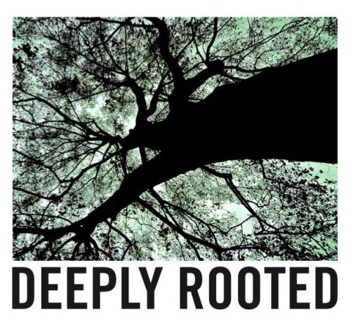 DEEPLY ROOTED W/DJ DEEP – TERENCE FIXMER – LEIF