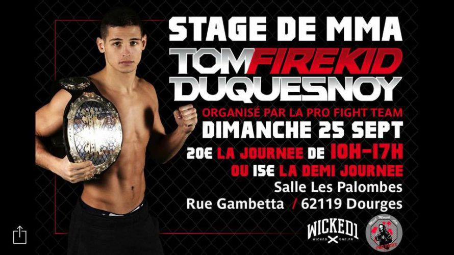 Stage de MMA