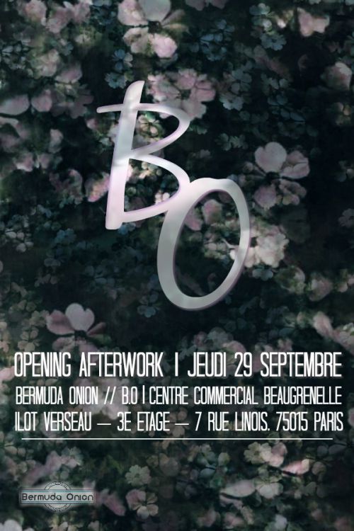 OPENING EXCLUSIF: AFTERWORK AU BERMUDA ONION