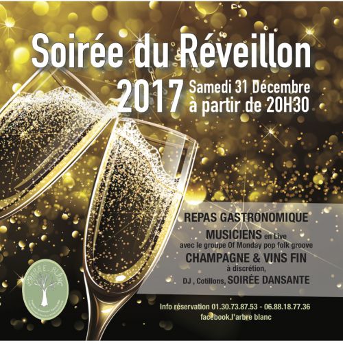 Soirée du réveillon 2017 Samedi 31 decembre 2016 - Autre au Dôme de