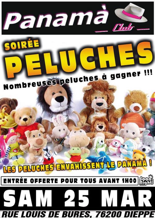 GROSSE SOIRÉE PELUCHES