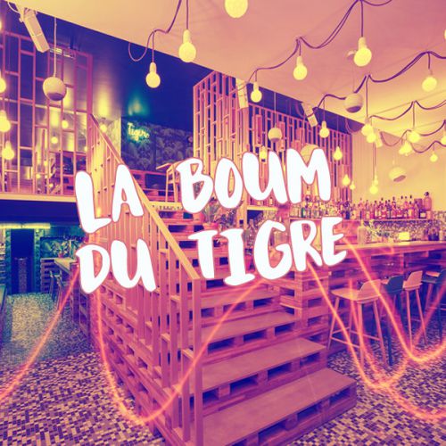 LA BOUM DU TIGRE