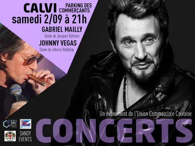 Spectacle musical· Organisé par Sandy Events avec Johnny Vegas est un réel sosie de Johnny Hallyday