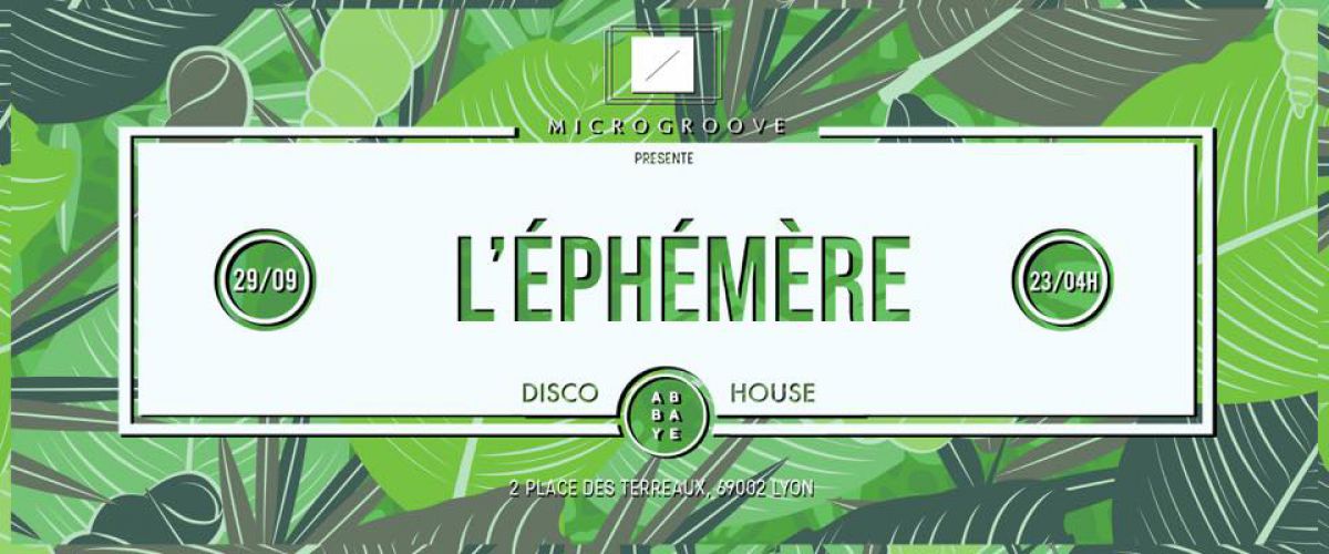 Disco & House : La Rencontre Éphémère