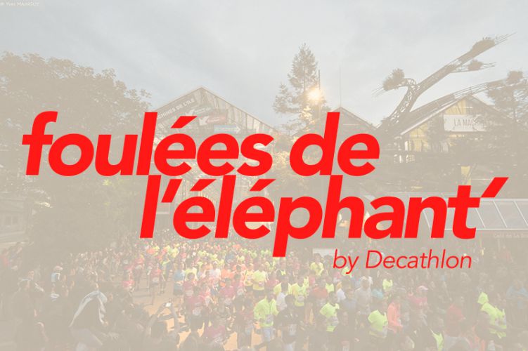 Foulées de l’éléphant