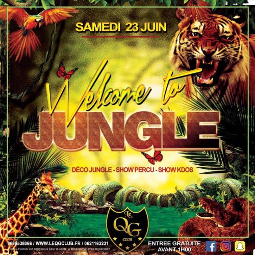 Welcome To Jungle