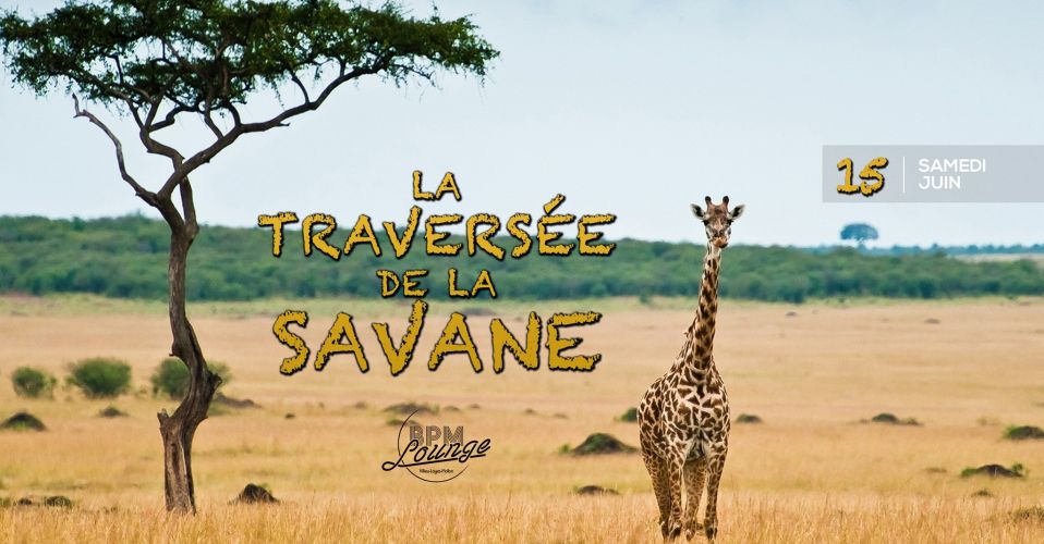 La Traversée de la Savane