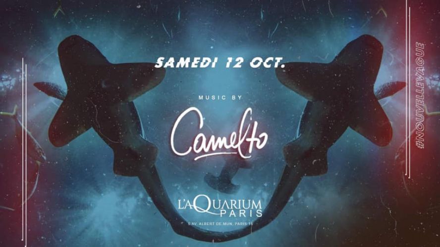 L’Aquarium Club, nouvelle vague avec Camelto