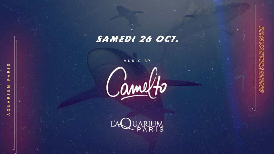 L’Aquarium Club nouvelle vague by Camelto