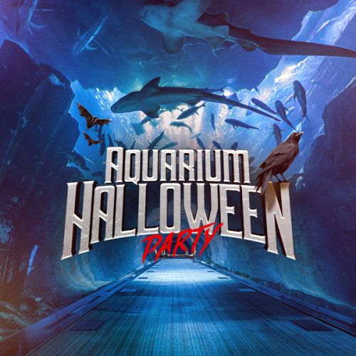 AQUARIUM HALLOWEEN PARTY : Dansez avec les requins