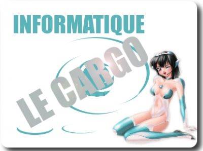 IUT INFO