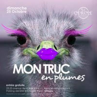 MON TRUC EN PLUMES