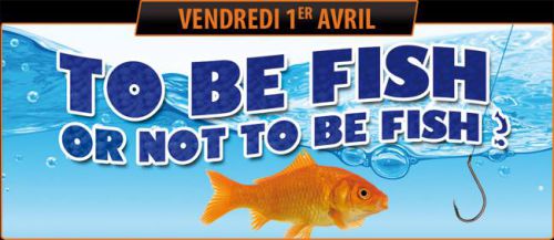 TO BE FISH OR NOT TO BE FISH