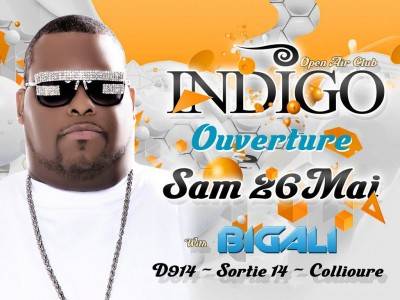 Opening INDIGO 2012