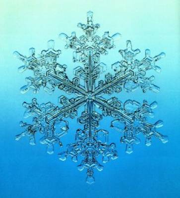 ***Tempête de neige***