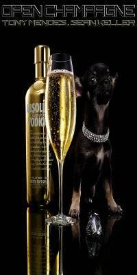 OPEN CHAMPAGNE LES FILLES