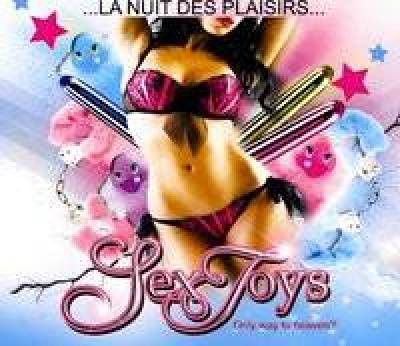 Soirée Sex Toys