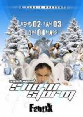 SNOW STORM WEEK-END