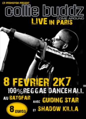 collie Buddz