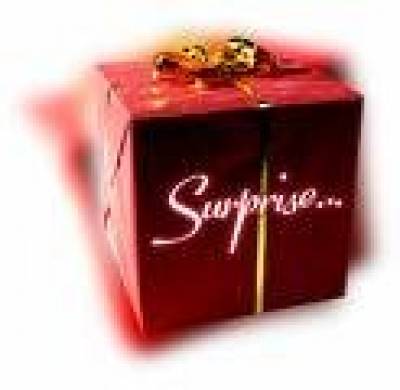 SOIREE SURPRISES