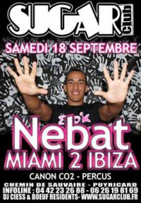 Nebat MIAMI 2 IBIZA