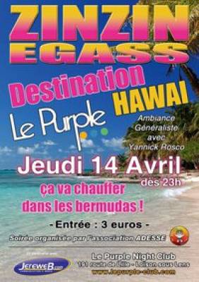 Zinzin EGass – Destination Hawai