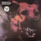 Protomartyr – La Route du Rock