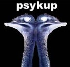 Psykup