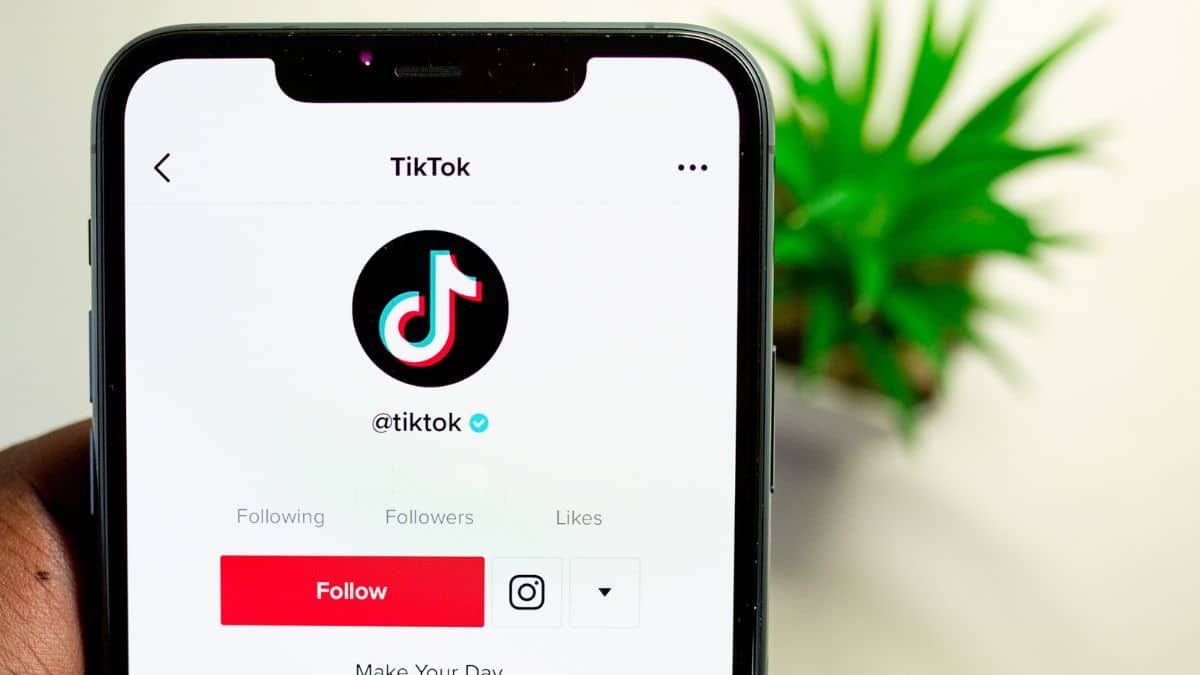 TikTok bientôt interdit en France !